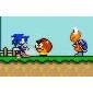 Sonic in Mario World Game