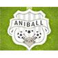 Aniball Game