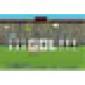 Flash Goal Game