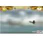 Hostile skies Game