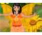 Sunflower Fairy Game