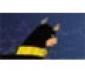 Batman Dog Game