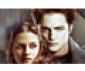 Twilight Puzzle Game
