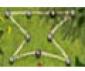 Bug War Game