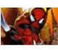 Spidey Game