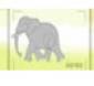 Safari Game