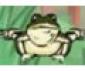 Kamikaze Frogs Game