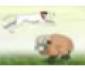 Sheep Jump Game